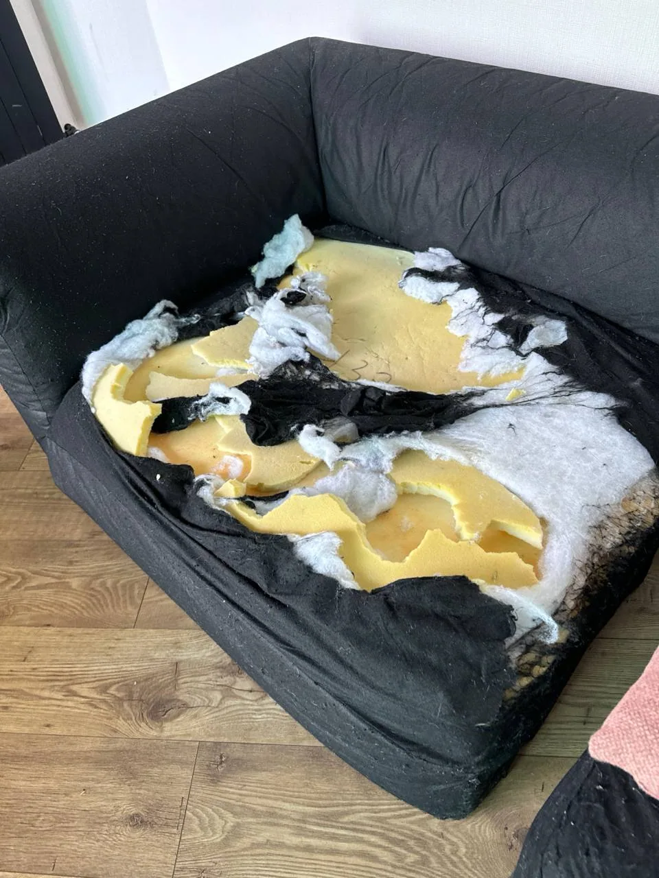 Sofa before reupholstery — fabric torn by dog