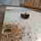 High-quality laminated chipboard for customised wardrobe